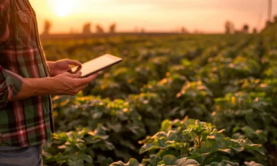 person using tablet in the field